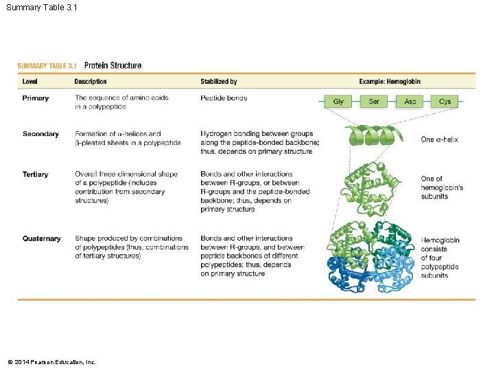 Summary Table 3. 1 © 2014 Pearson Education, Inc. 