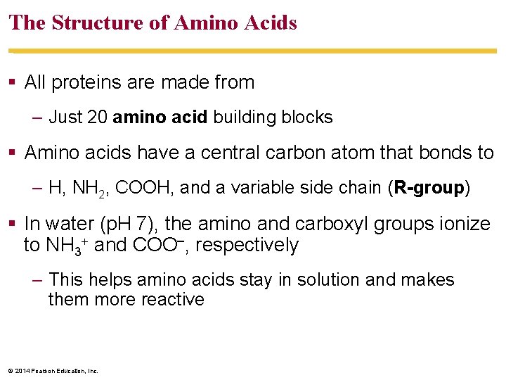 The Structure of Amino Acids All proteins are made from – Just 20 amino