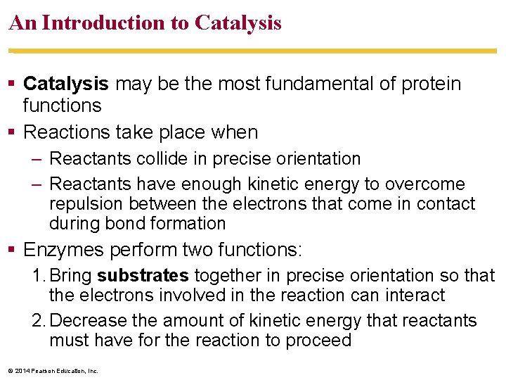 An Introduction to Catalysis may be the most fundamental of protein functions Reactions take