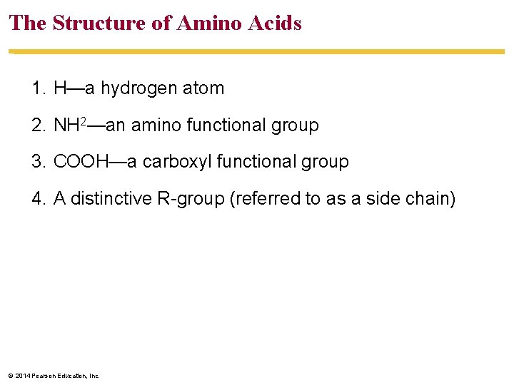 The Structure of Amino Acids 1. H—a hydrogen atom 2. NH 2—an amino functional