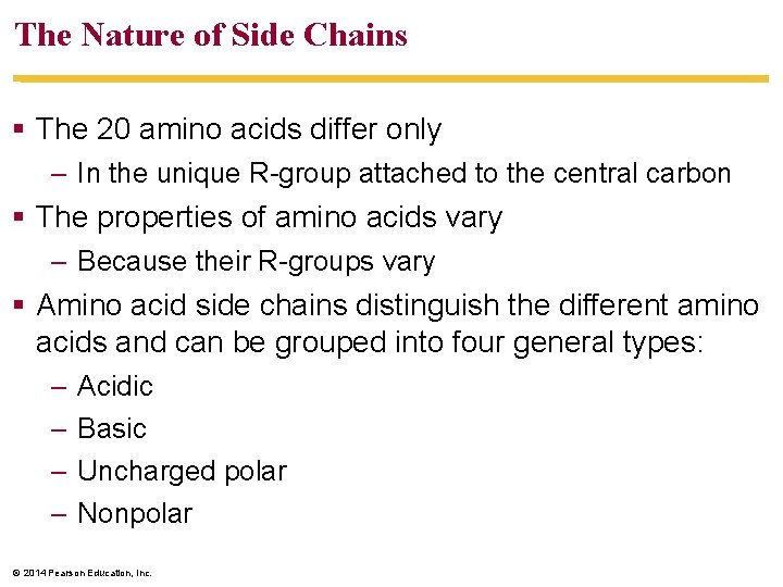 The Nature of Side Chains The 20 amino acids differ only – In the