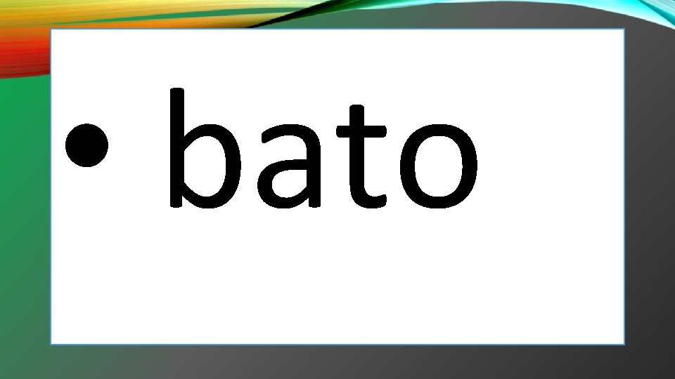• bato • bato