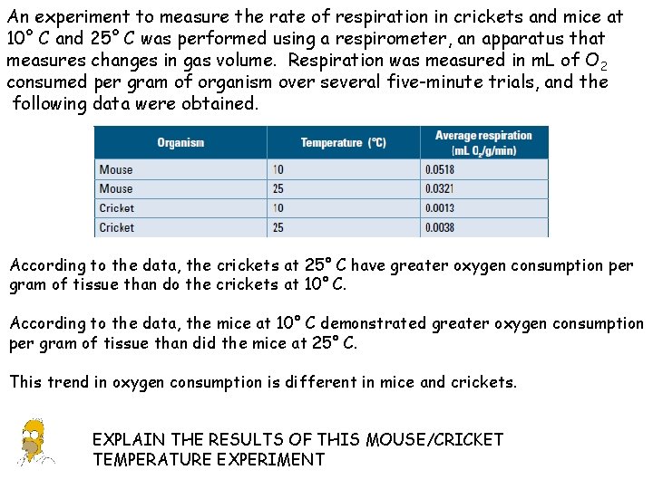 An experiment to measure the rate of respiration in crickets and mice at 10°