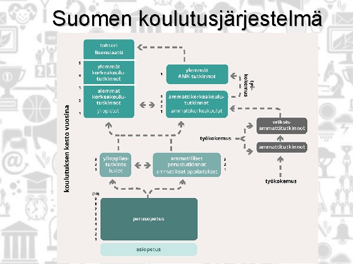 Suomen koulutusjärjestelmä 