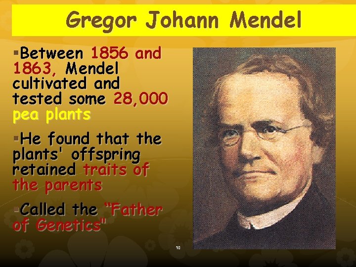 Gregor Johann Mendel §Between 1856 and 1863, Mendel cultivated and tested some 28, 000