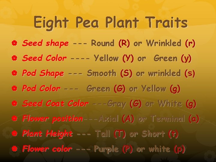 Eight Pea Plant Traits Seed shape --- Round (R) or Wrinkled (r) Seed Color
