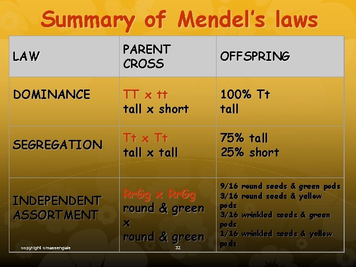 Summary of Mendel’s laws LAW DOMINANCE SEGREGATION INDEPENDENT ASSORTMENT copyright cmassengale PARENT CROSS OFFSPRING