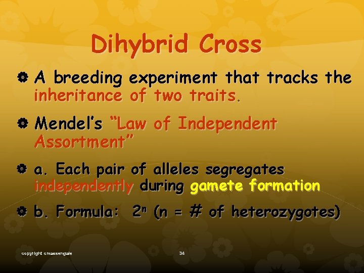 Dihybrid Cross A breeding experiment that tracks the inheritance of two traits. Mendel’s “Law