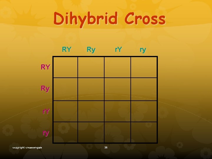 Dihybrid Cross RY Ry r. Y ry copyright cmassengale 38 ry 