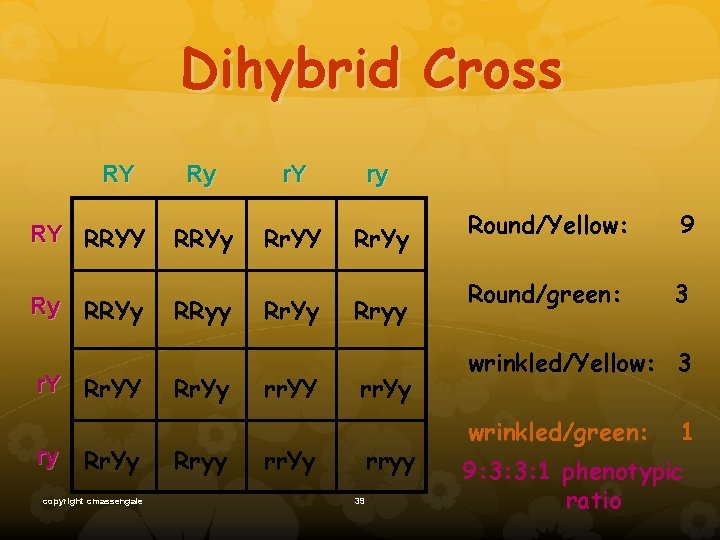 Dihybrid Cross RY RY RRYY Ry RRYy r. Y Rr. YY ry Rr. Yy