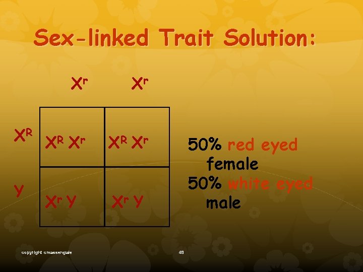 Sex-linked Trait Solution: Xr Xr XR XR Xr Y copyright cmassengale 50% red eyed