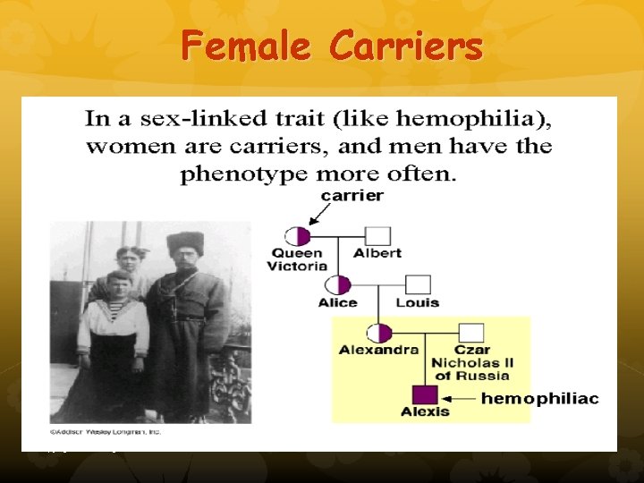 Female Carriers copyright cmassengale 50 