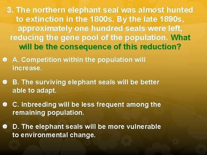 3. The northern elephant seal was almost hunted to extinction in the 1800 s.