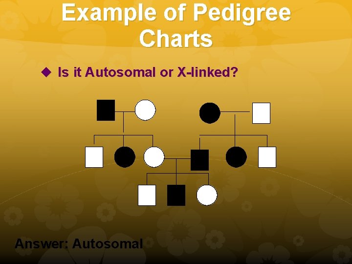 Example of Pedigree Charts u Is it Autosomal or X-linked? Answer: Autosomal 