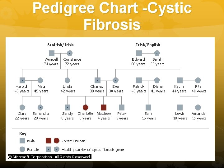Pedigree Chart -Cystic Fibrosis 