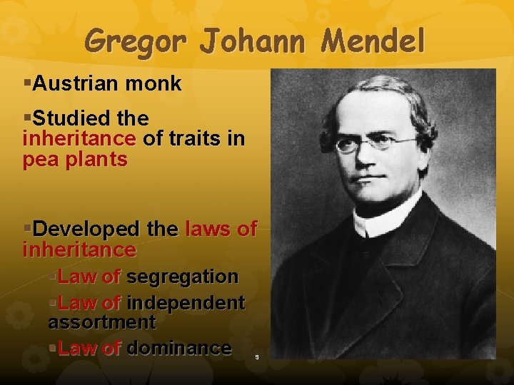 Gregor Johann Mendel §Austrian monk §Studied the inheritance of traits in pea plants §Developed