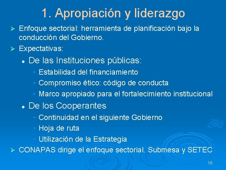 1. Apropiación y liderazgo Enfoque sectorial: herramienta de planificación bajo la conducción del Gobierno.