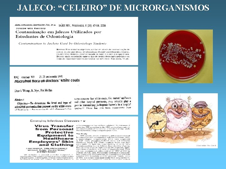 JALECO: “CELEIRO” DE MICRORGANISMOS 