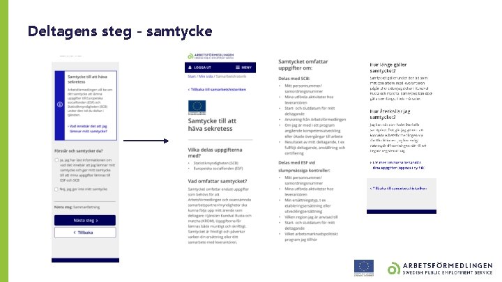 Deltagens steg - samtycke 