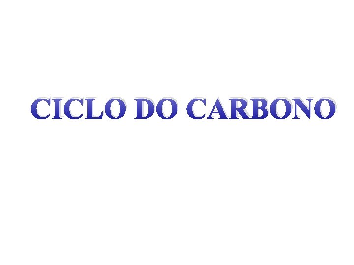 CICLO DO CARBONO 