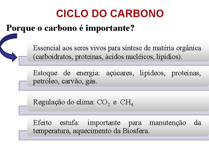CICLO DO CARBONO Porque o carbono é importante? Essencial aos seres vivos para síntese