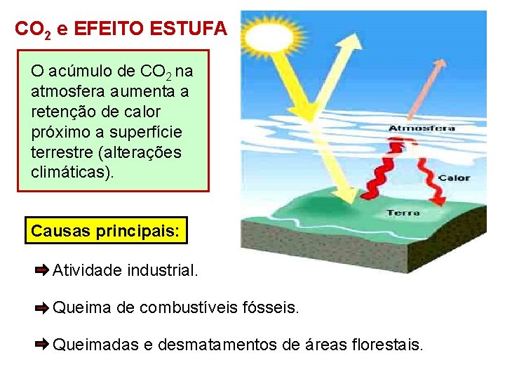CO 2 e EFEITO ESTUFA O acúmulo de CO 2 na atmosfera aumenta a