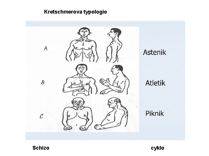 Kretschmerova typologie Schizo cyklo 