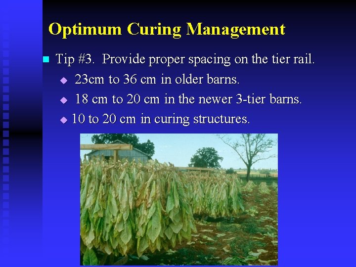 Optimum Curing Management n Tip #3. Provide proper spacing on the tier rail. u