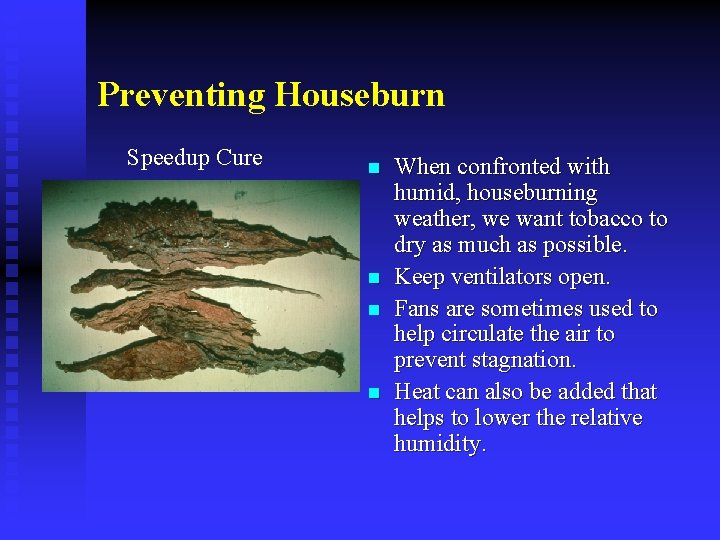 Preventing Houseburn Speedup Cure n n When confronted with humid, houseburning weather, we want