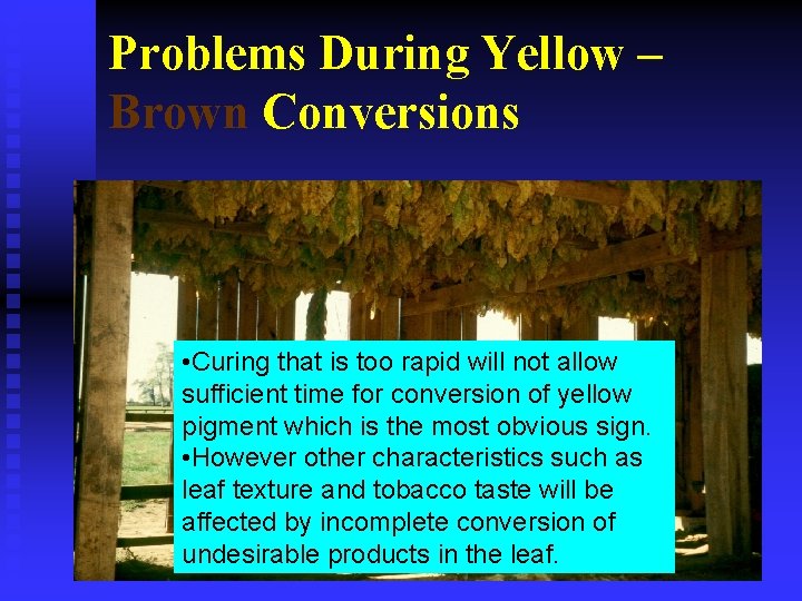 Problems During Yellow – Brown Conversions • Curing that is too rapid will not