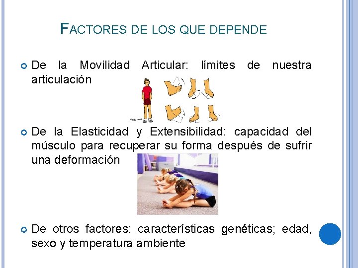 FACTORES DE LOS QUE DEPENDE De la Movilidad Articular: límites de nuestra articulación De