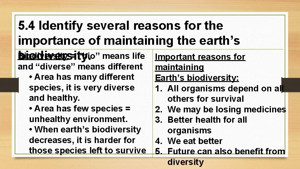 5. 4 Identify several reasons for the importance of maintaining the earth’s Biodiversity =