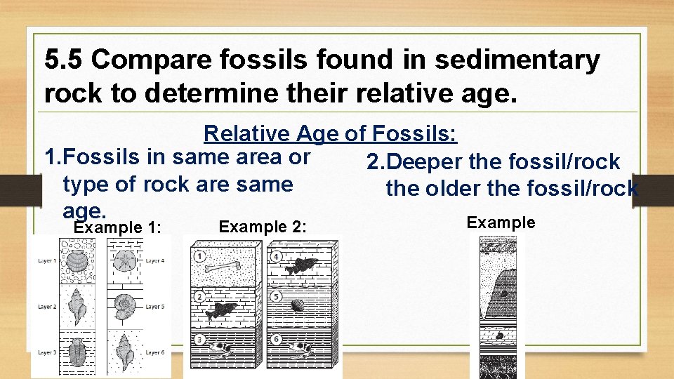 5. 5 Compare fossils found in sedimentary rock to determine their relative age. Relative