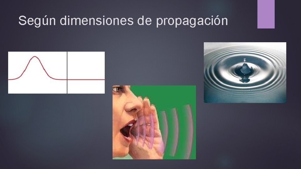 Según dimensiones de propagación 