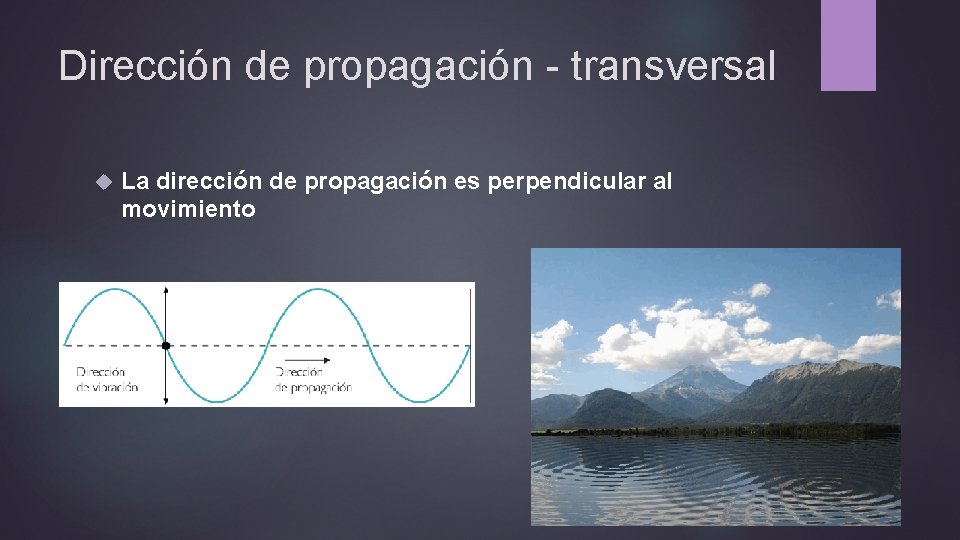 Dirección de propagación - transversal La dirección de propagación es perpendicular al movimiento 