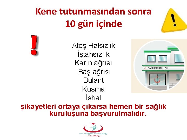 Kene tutunmasından sonra 10 gün içinde Ateş Halsizlik İştahsızlık Karın ağrısı Baş ağrısı Bulantı