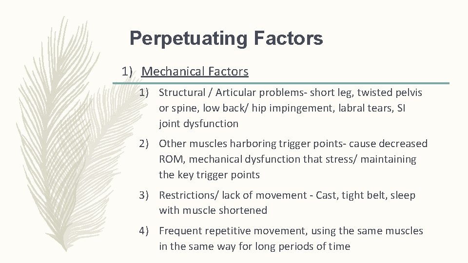 Perpetuating Factors 1) Mechanical Factors 1) Structural / Articular problems- short leg, twisted pelvis Perpetuating Factors 1) Mechanical Factors 1) Structural / Articular problems- short leg, twisted pelvis