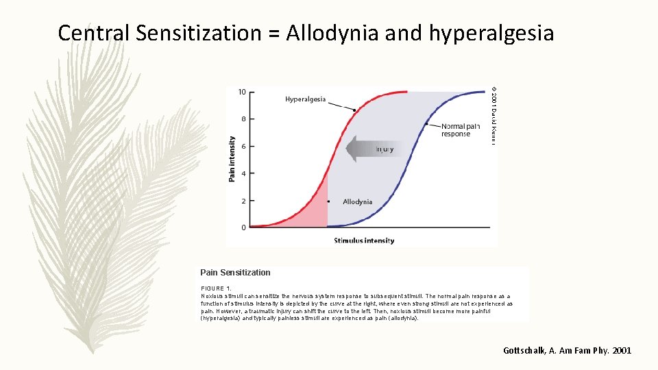 Central Sensitization = Allodynia and hyperalgesia Pain Sensitization FIGURE 1. Noxious stimuli can sensitize Central Sensitization = Allodynia and hyperalgesia Pain Sensitization FIGURE 1. Noxious stimuli can sensitize