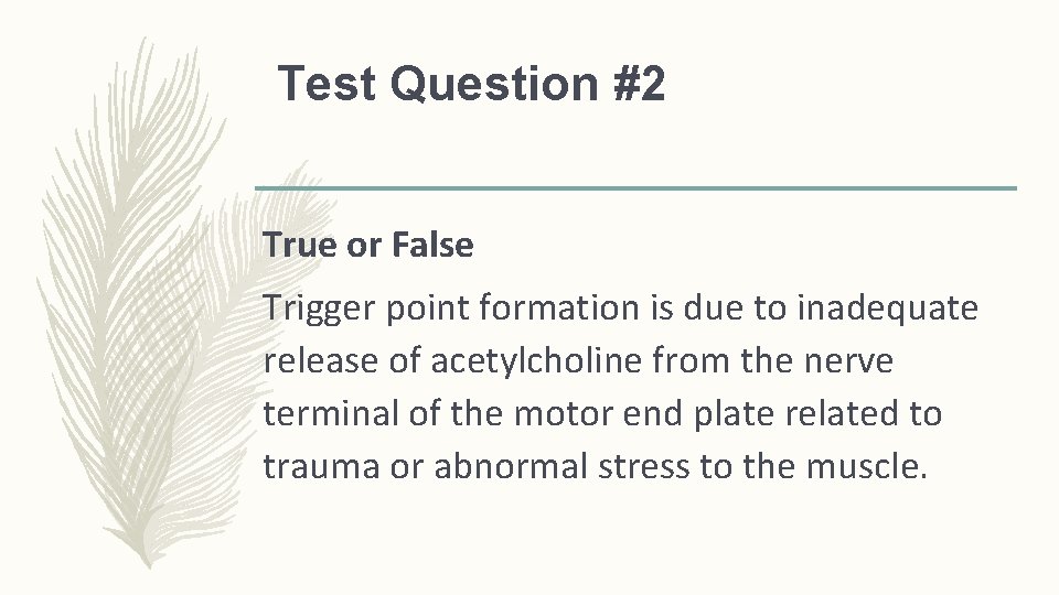 Test Question #2 True or False Trigger point formation is due to inadequate release Test Question #2 True or False Trigger point formation is due to inadequate release