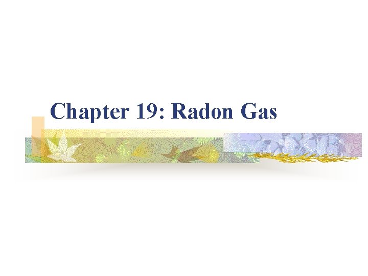Chapter 19: Radon Gas 