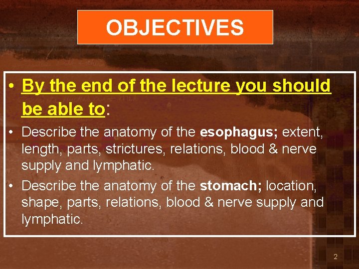 OBJECTIVES • By the end of the lecture you should be able to: •