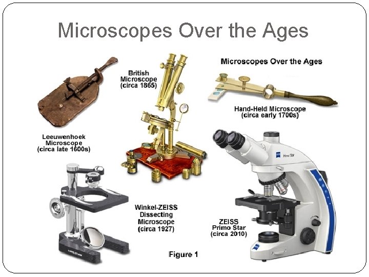 Microscopes Over the Ages 