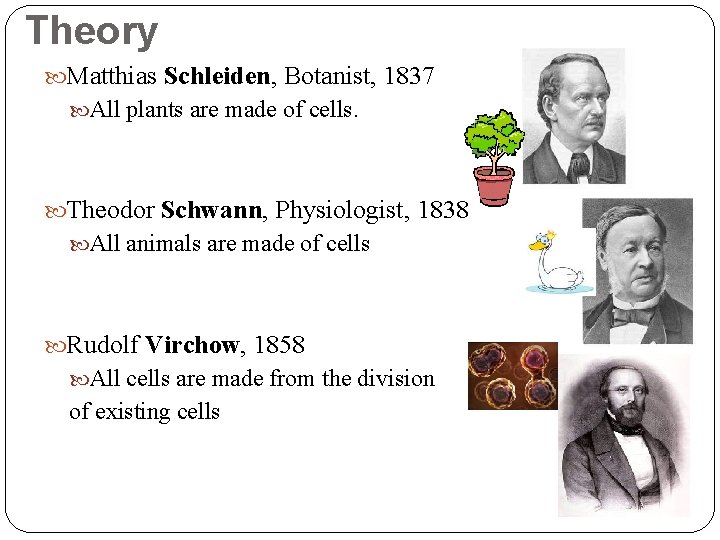 Theory Matthias Schleiden, Botanist, 1837 All plants are made of cells. Theodor Schwann, Physiologist,