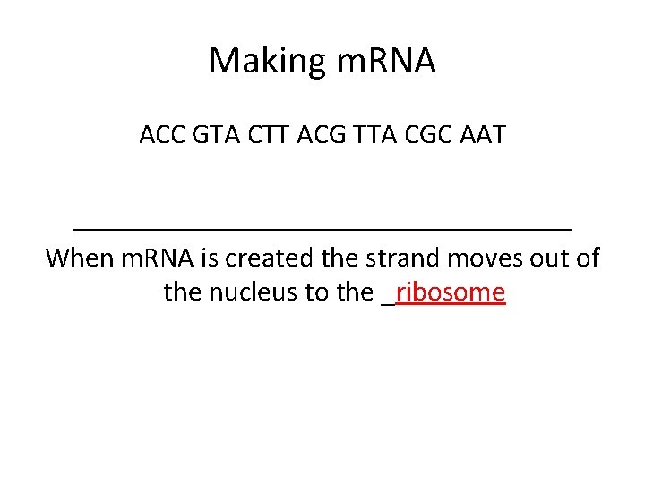 Making m. RNA ACC GTA CTT ACG TTA CGC AAT __________________ When m. RNA