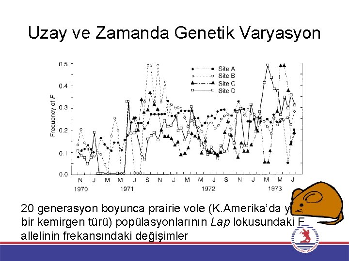 Uzay ve Zamanda Genetik Varyasyon 20 generasyon boyunca prairie vole (K. Amerika’da yaşayan bir