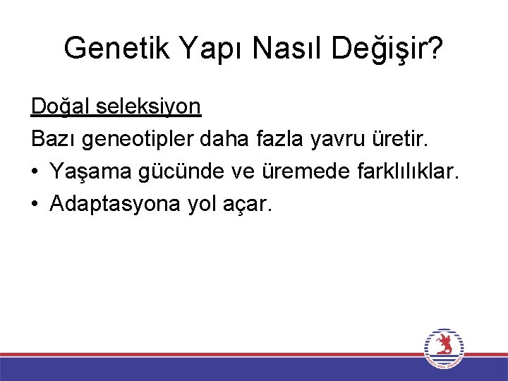 Genetik Yapı Nasıl Değişir? Doğal seleksiyon Bazı geneotipler daha fazla yavru üretir. • Yaşama