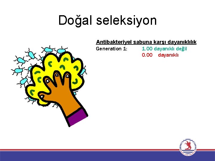 Doğal seleksiyon Antibakteriyel sabuna karşı dayanıklılık Generation 1: 1. 00 dayanıklı değil 0. 00