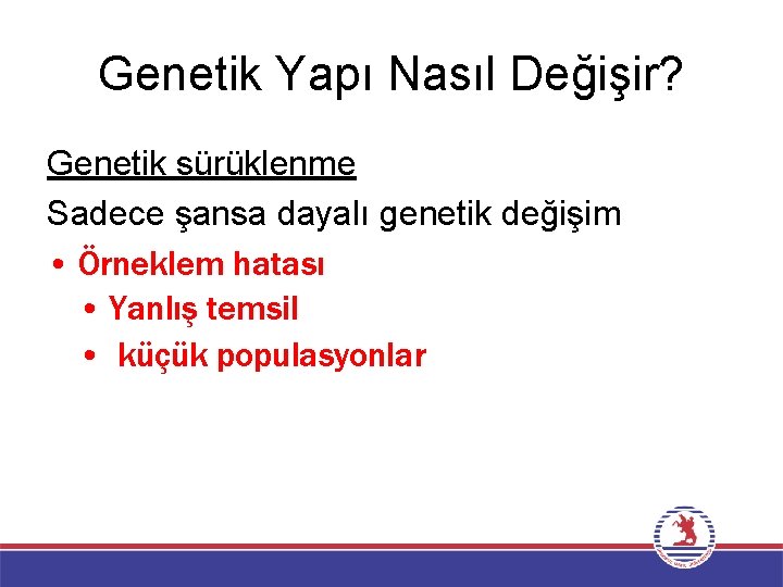 Genetik Yapı Nasıl Değişir? Genetik sürüklenme Sadece şansa dayalı genetik değişim • Örneklem hatası