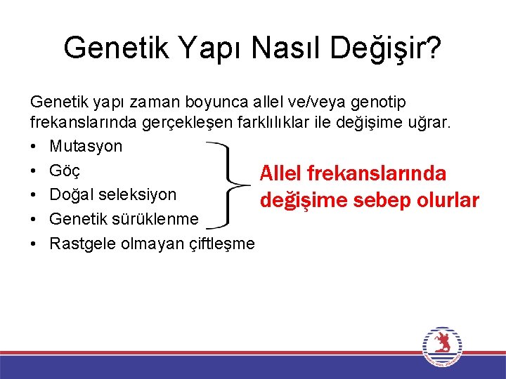Genetik Yapı Nasıl Değişir? Genetik yapı zaman boyunca allel ve/veya genotip frekanslarında gerçekleşen farklılıklar
