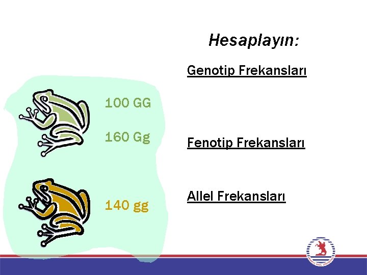 Hesaplayın: Genotip Frekansları 100 GG 160 Gg 140 gg Fenotip Frekansları Allel Frekansları 